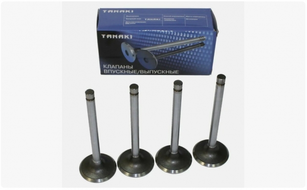 : TKG100701560 0003214   -2410,  Next .EvoTech 2.7 (939)  4.   (, ,,,,, , NEXT, NEXT) tolyatti.zp495.ru