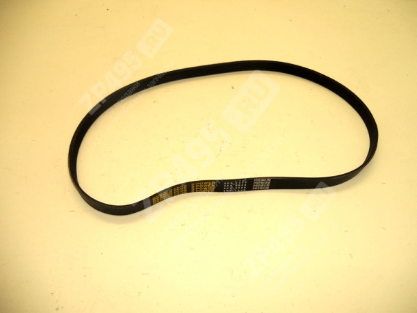 : 6PK1220 0015204  1220 DARWIN PLUS   /406-1308020-11/ (, ,,,,, , NEXT, NEXT) tolyatti.zp495.ru