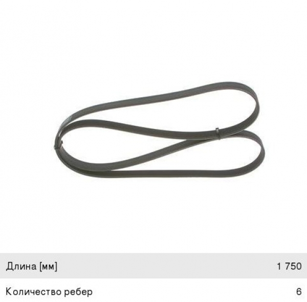 : 6PK1750 0015288   -31105,  .  (6PK-1750) DARWIN (, ,,,,, , NEXT, NEXT) tolyatti.zp495.ru