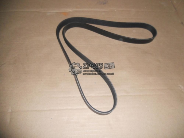 : 6PK1751 0015291   -31105,  .  (6PK-1751) HANSE (, ,,,,, , NEXT, NEXT) tolyatti.zp495.ru