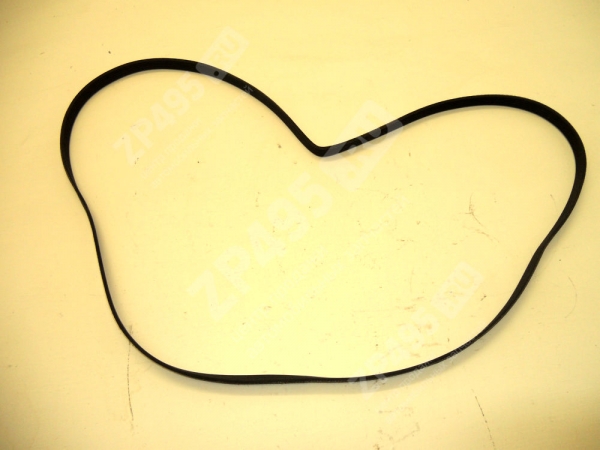 : 6PK2100 0016450  2100  Darwin Plus() tolyatti.zp495.ru