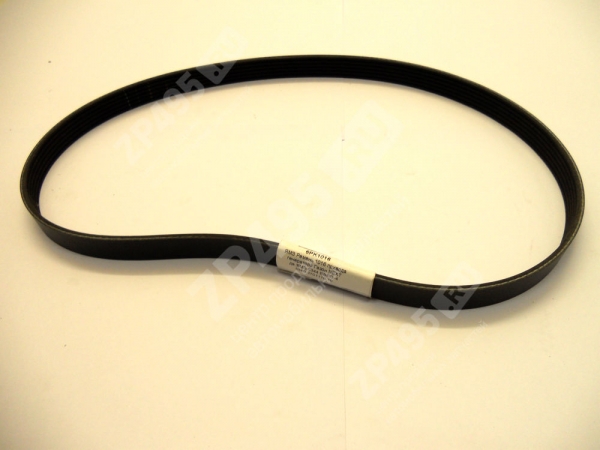 : 6PK1016 0024629       next .-5344 -4 RUBENA 5340-3701170-10 (, ,,,,, , NEXT, NEXT) tolyatti.zp495.ru