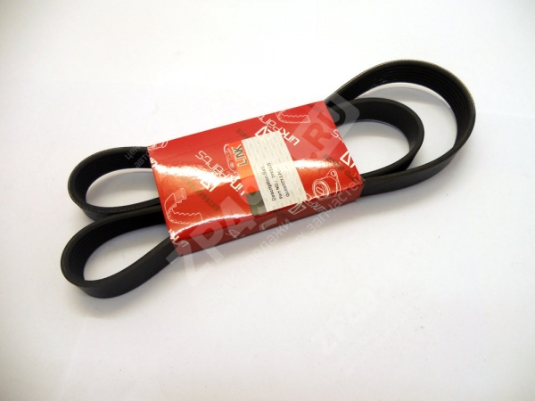 : 7PK1325 0031755  -3163  .IVECO  7PK1325 LINK tolyatti.zp495.ru