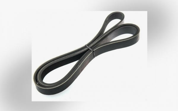 : 6PK1753 0031950    6PK1753 LINK (, ,,,,, , NEXT, NEXT) tolyatti.zp495.ru