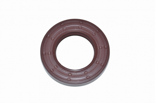 : 500350049 0072222  -3163 .IVECO F1A  346010 tolyatti.zp495.ru